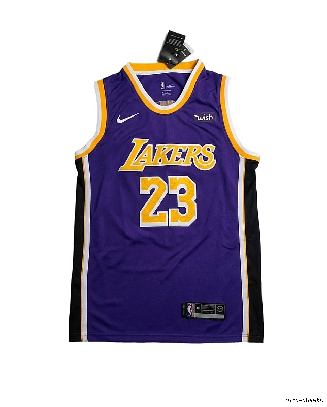 LBJ Lakers retro purple jersey