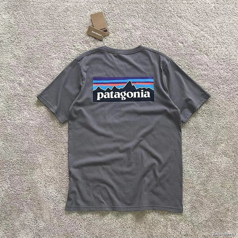 Patagonia Dark Gray Logo T-Shirt Commuter Look Graphic