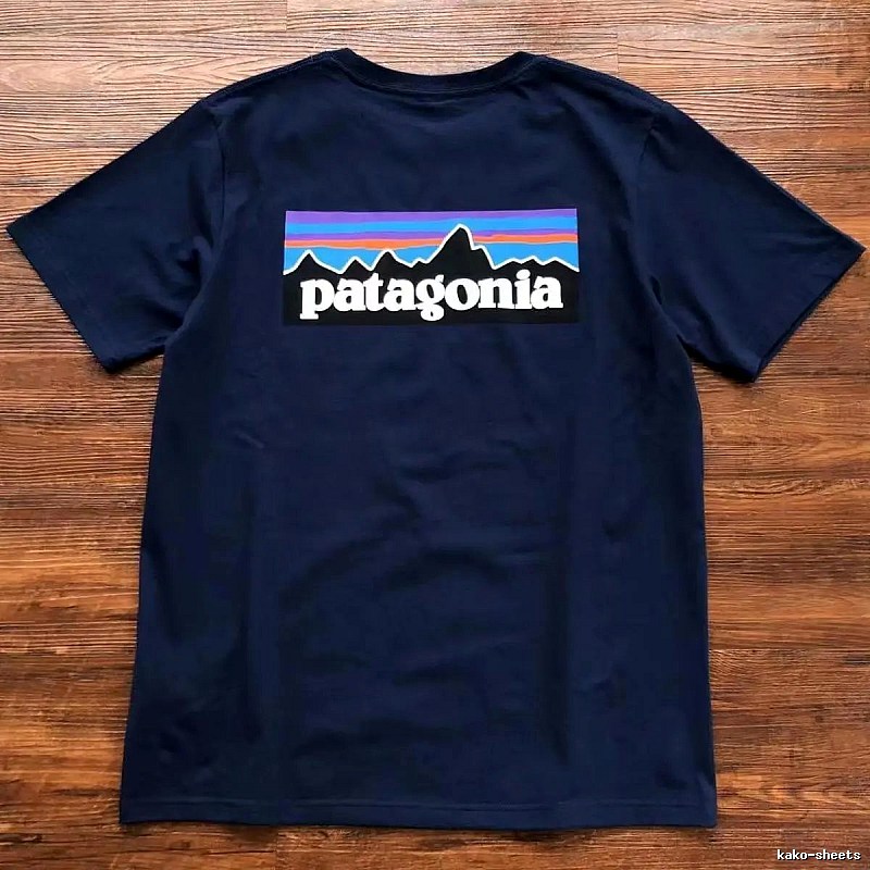 Patagonia Navy Logo T-Shirt City Outfit Graphic